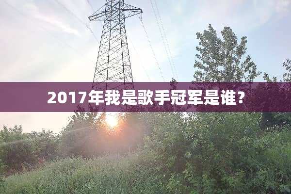 2017年我是歌手冠军是谁？