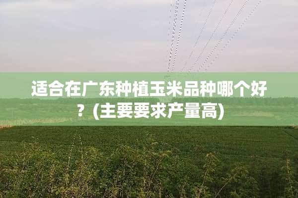 适合在广东种植玉米品种哪个好？(主要要求产量高)