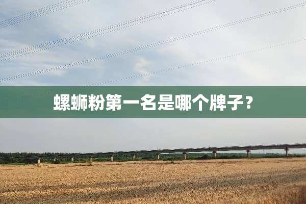 螺蛳粉第一名是哪个牌子？