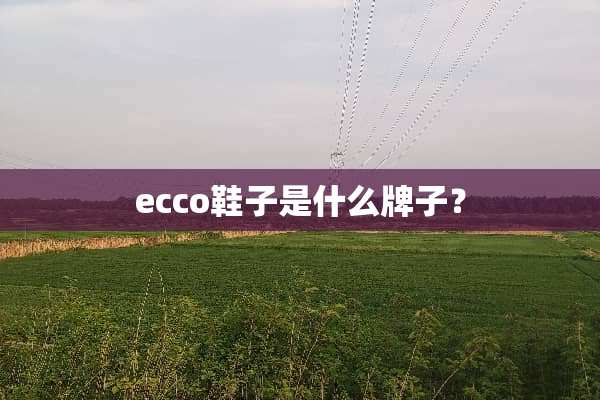 ecco鞋子是什么牌子？