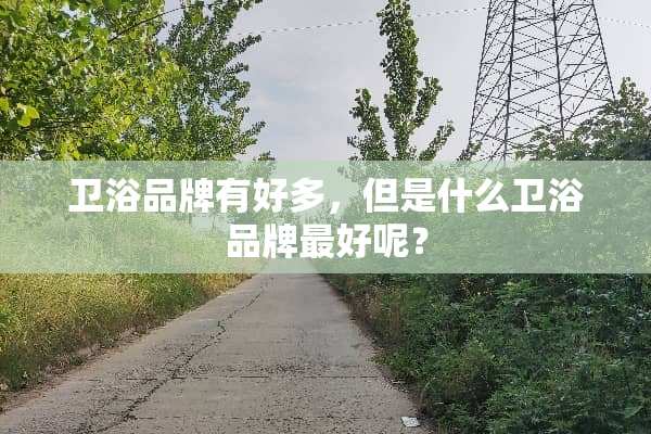 卫浴品牌有好多，但是什么卫浴品牌最好呢？