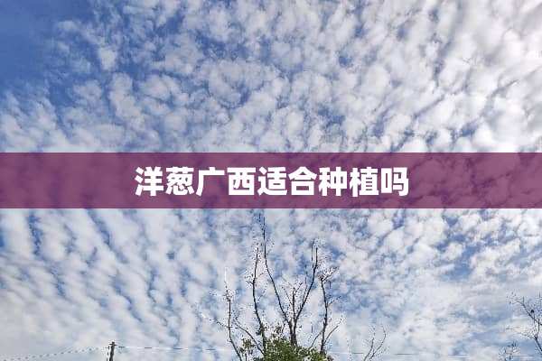 洋葱广西适合种植吗