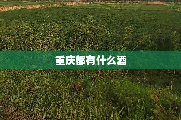重庆都有什么酒