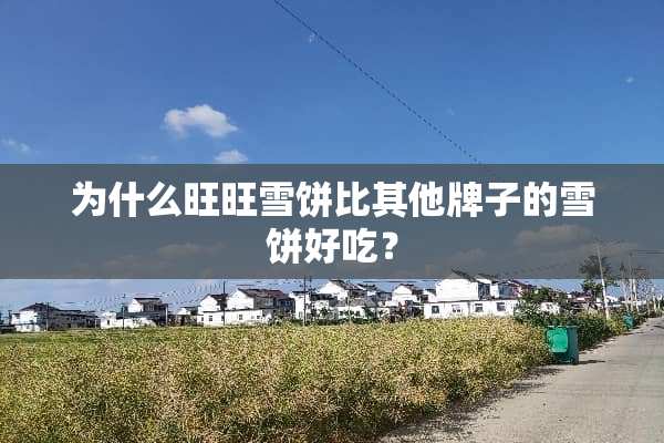 为什么旺旺雪饼比其他牌子的雪饼好吃？
