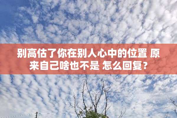 别高估了你在别人心中的位置 原来自己啥也不是 怎么回复？