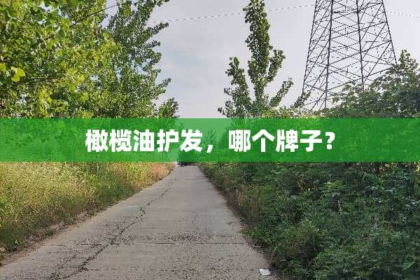 橄榄油护发，哪个牌子？