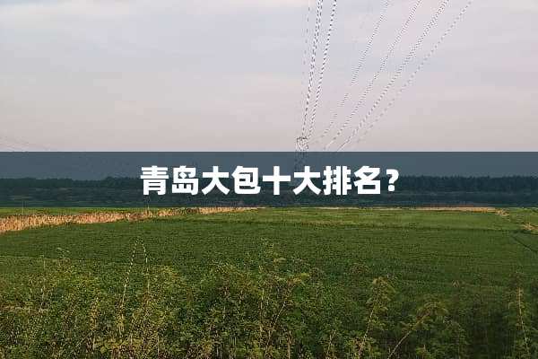 青岛大包十大排名？