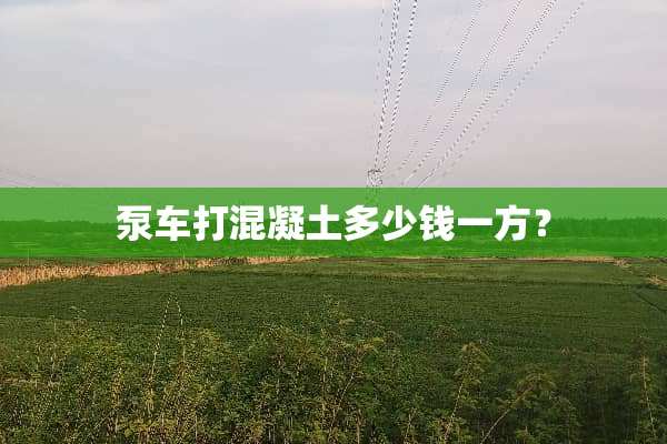 泵车打混凝土多少钱一方？