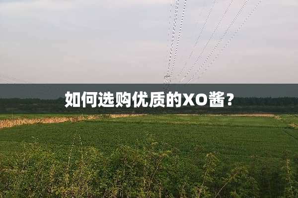 如何选购优质的XO酱？