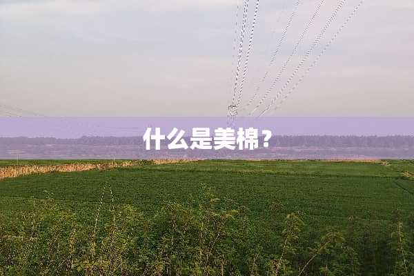 什么是美棉？