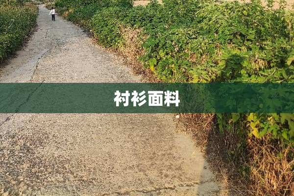 衬衫面料