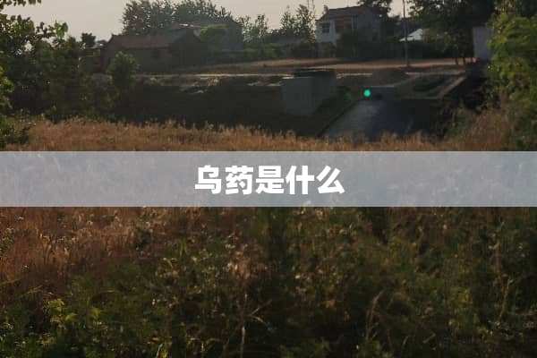 乌药是什么