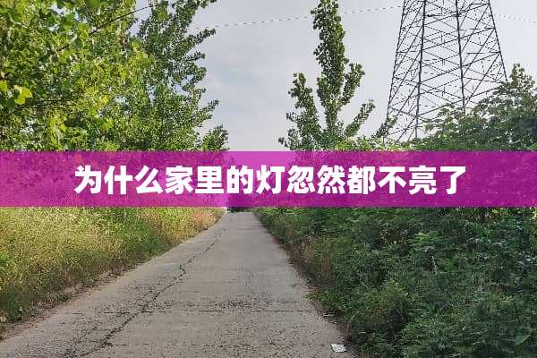 为什么家里的灯忽然都不亮了