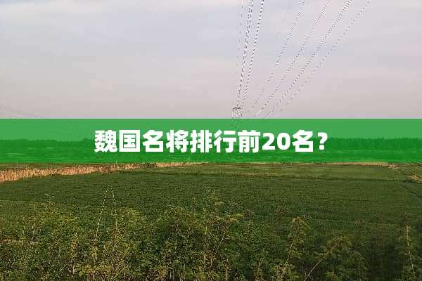魏国名将排行前20名？