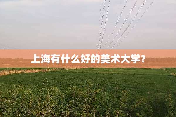 上海有什么好的美术大学？
