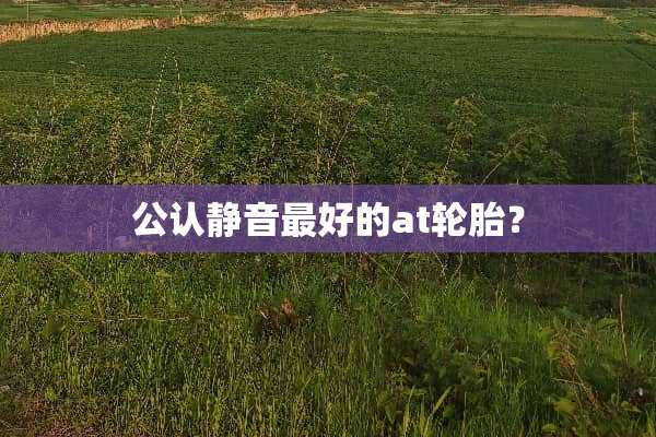 公认静音最好的at轮胎？