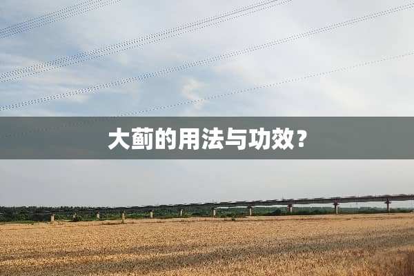 大蓟的用法与功效？