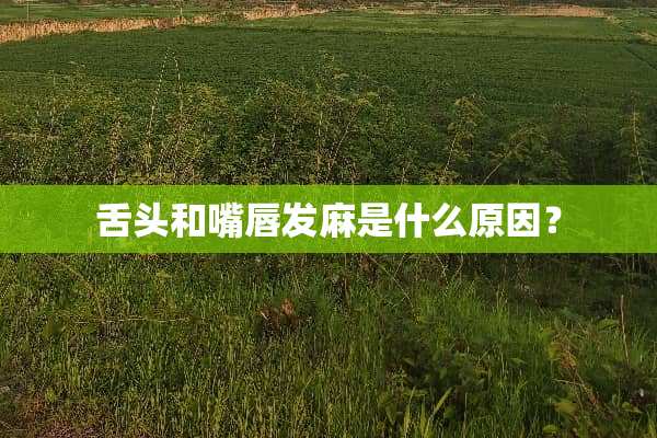 舌头和嘴唇发麻是什么原因？