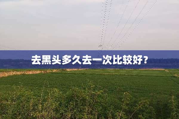 去黑头多久去一次比较好？