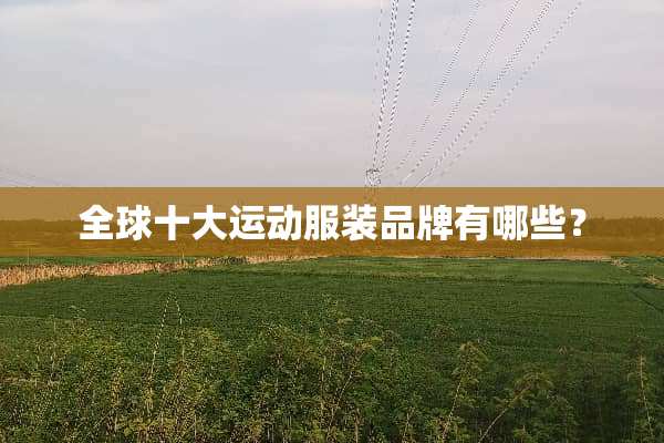 全球十大运动服装品牌有哪些？