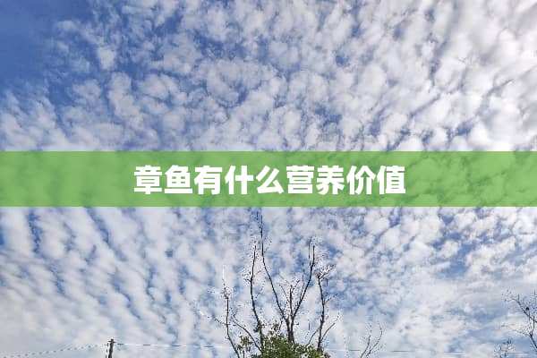 章鱼有什么营养价值