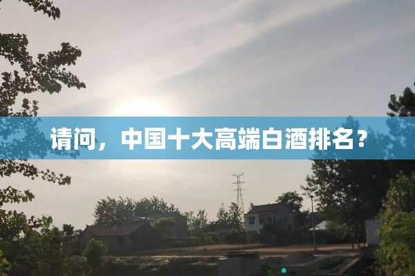 请问，中国十大高端白酒排名？