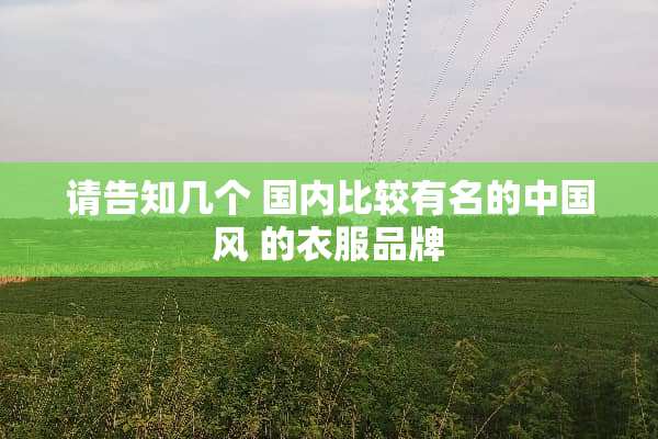 请告知几个 国内比较有名的中国风 的衣服品牌