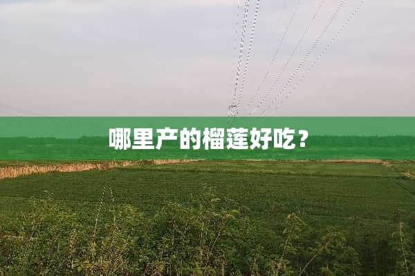 哪里产的榴莲好吃？