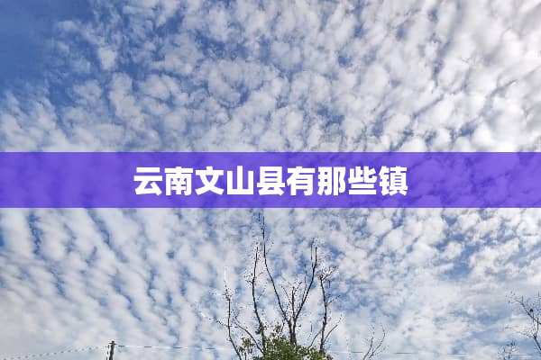 云南文山县有那些镇