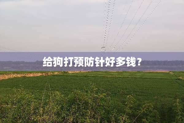 给狗打预防针好多钱？
