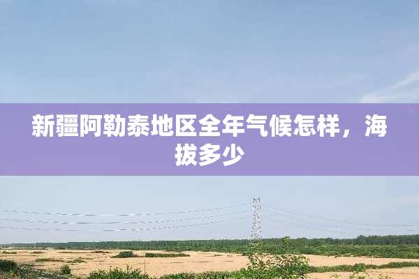 新疆***地区全年气候怎样，海拔多少