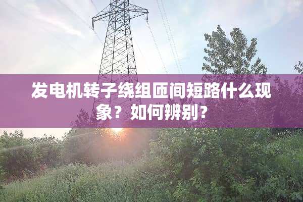 发电机转子绕组匝间短路什么现象？如何辨别？