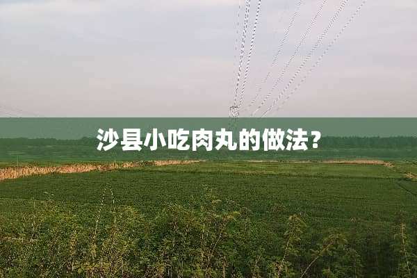 沙县小吃肉丸的做法？