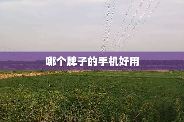 哪个牌子的手机好用