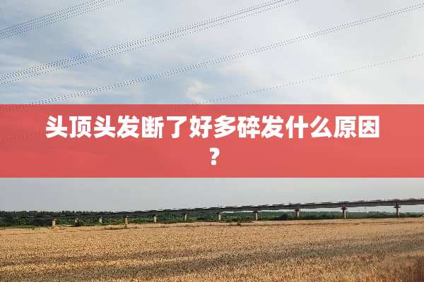 头顶头发断了好多碎发什么原因？