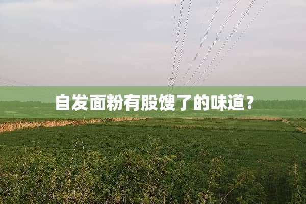 自发面粉有股馊了的味道？