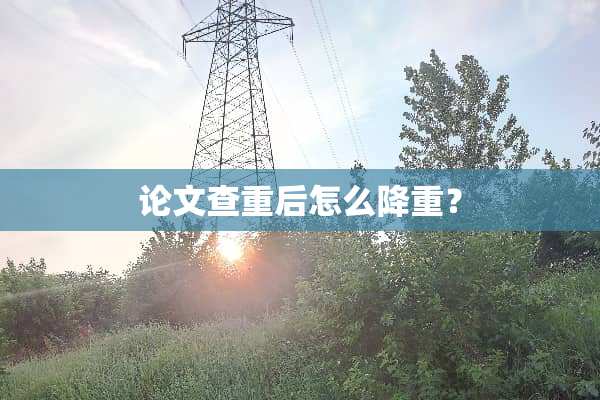 论文查重后怎么降重？