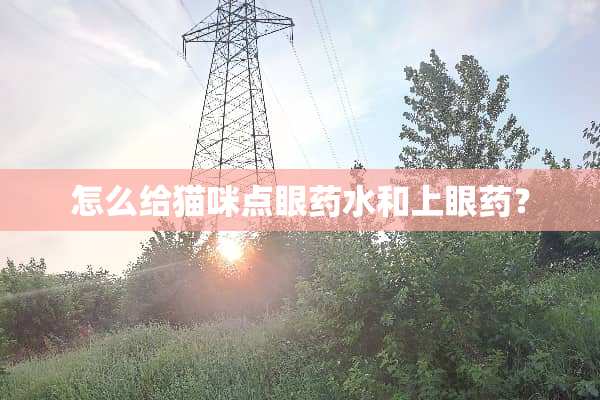 怎么给猫咪点眼药水和上眼药？