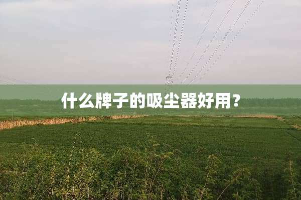 什么牌子的吸尘器好用？