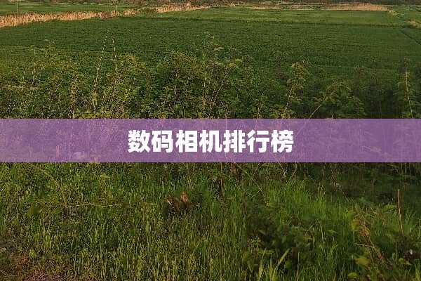 数码相机排行榜