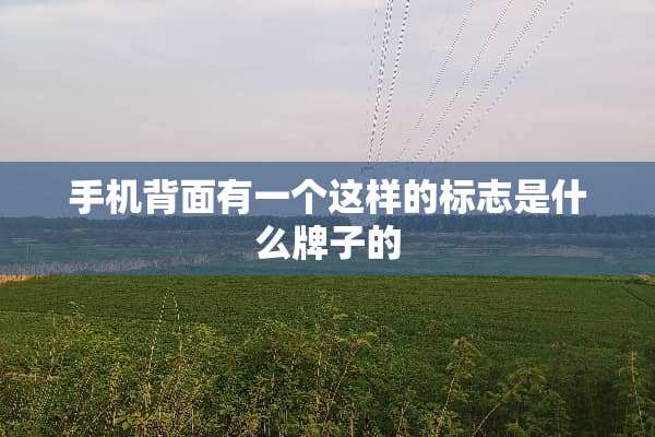 手机背面有一个这样的标志是什么牌子的