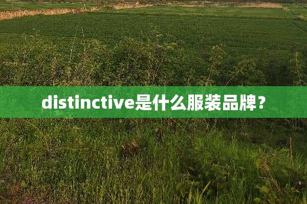 distinctive是什么服装品牌？