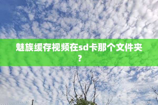 魅族缓存视频在sd卡那个文件夹？