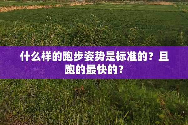 什么样的跑步姿势是标准的？且跑的最快的？
