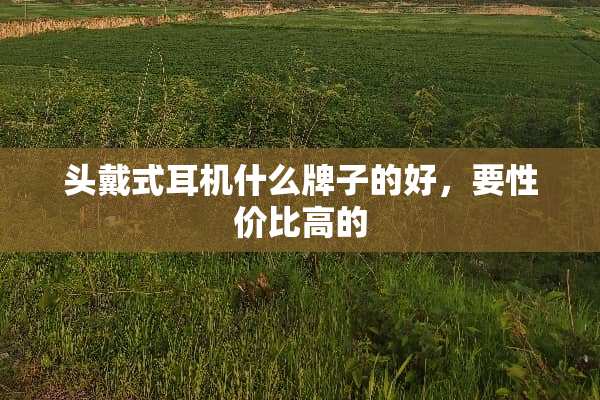 头戴式耳机什么牌子的好，要性价比高的