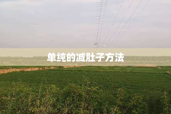 单纯的减肚子方法