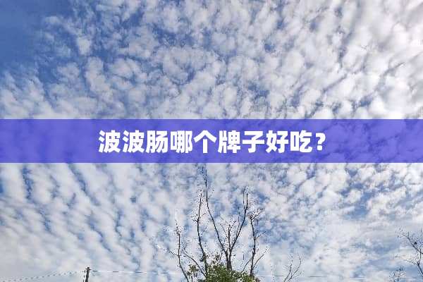 波波肠哪个牌子好吃？