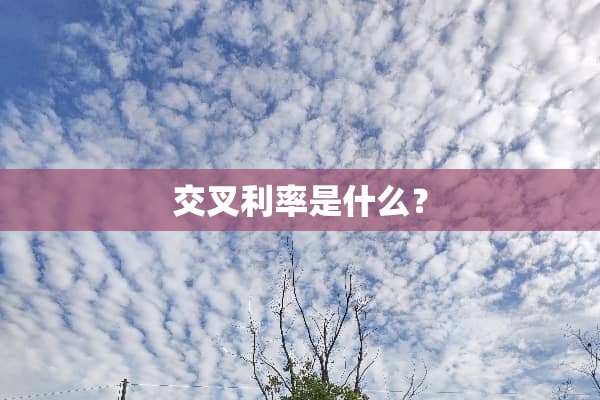 交叉利率是什么？