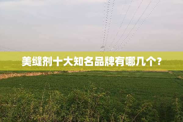 美缝剂十大知名品牌有哪几个？