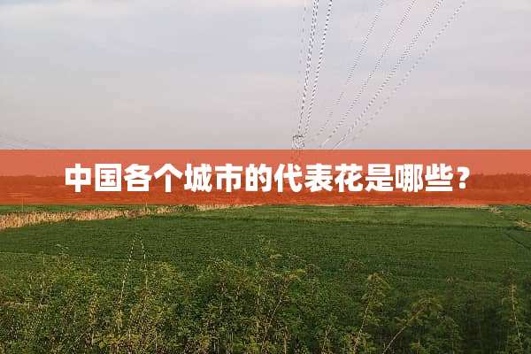中国各个城市的代表花是哪些？